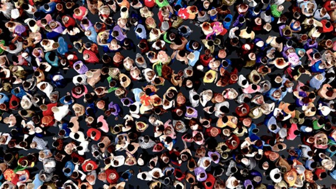 diversity
