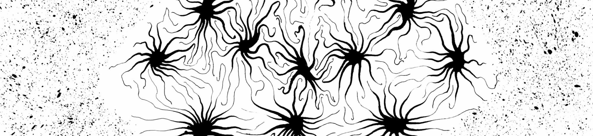 neural network