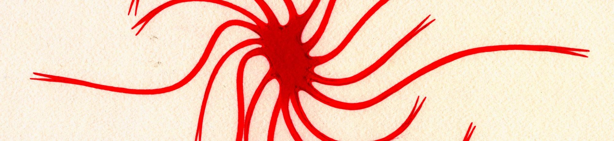 dendritic cell